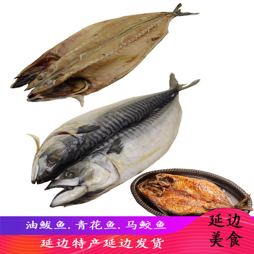 延边煎鲅鱼腌制尖嘴油鲅鱼马鲛鱼
