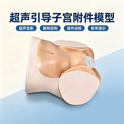 超声引导子宫附件教学研究模型