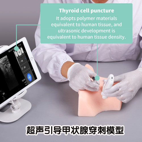 甲状腺模型超声引导EMENT高仿真