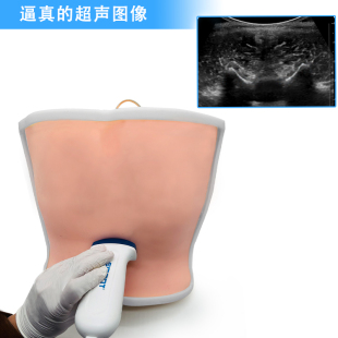 超声引导腰椎穿刺模型椎管内麻醉硬膜外麻醉穿刺注射医学教学研究