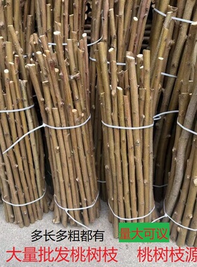 东南桃树枝桃木枝五色彩绳桃枝7厘米长7根5cm4cm2cm现货量大可议