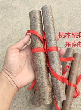 东南老桃木桃树枝山东