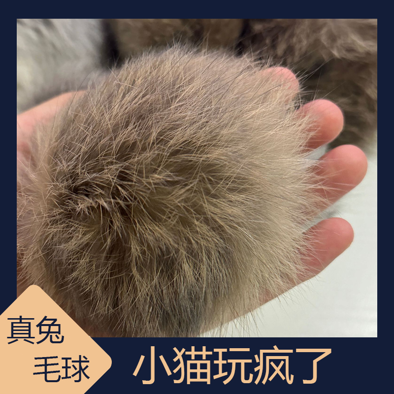 猫玩具兔毛球逗猫棒内置猫薄荷