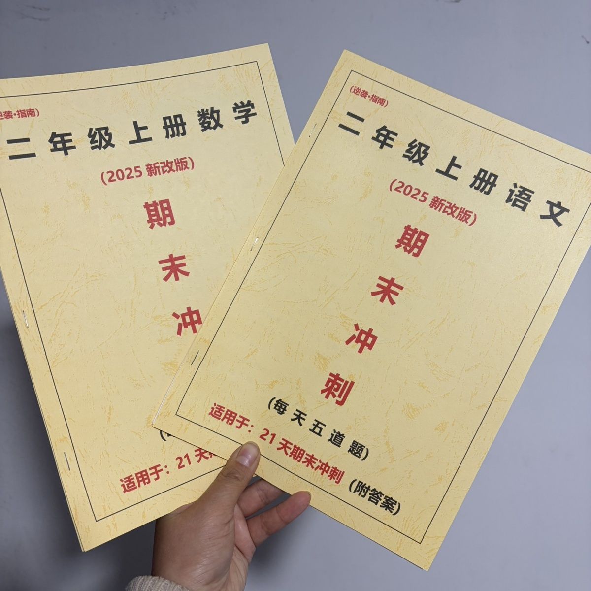 2025最新版二年级上册语文数学期末考试冲刺21天总复习每天五道题