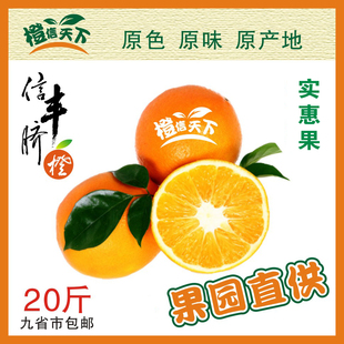 赣南信丰脐橙橙信天下2025新鲜大促销20斤九省市包邮实惠果
