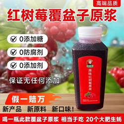 红树莓覆盆子原浆汁无添加安疗果汁大兴安岭鲜榨纯果原液调酒泡酒