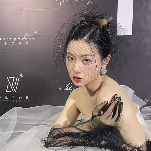 时尚黑色造型网面纱包邮