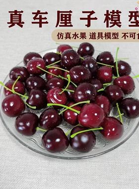 防水红色浆果仿真泡沫樱桃小红果礼品圣诞绿植装饰发财果红色冬青