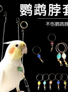鹦鹉牵引绳脖套不锈钢放飞绳玄凤牡丹虎皮八哥脚链栓鸟链遛鸟训练