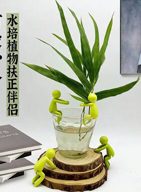 新款水培植物生长伴侣防倒伏扶枝