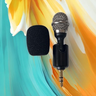 希伯莱迷你直插拇指麦克风无线收声麦小型话筒插声卡专用电容麦