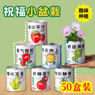 种植罐头网红种植小盆栽桌面学生创意礼物植物盲盒植树节儿童礼品
