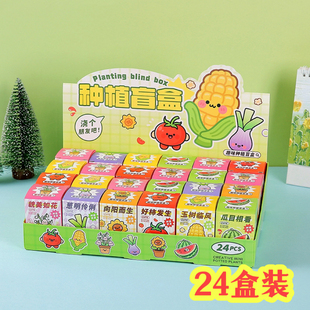 开学礼物学生奖励小礼品实用DIY植物种植盲盒幼儿园儿童活动奖品
