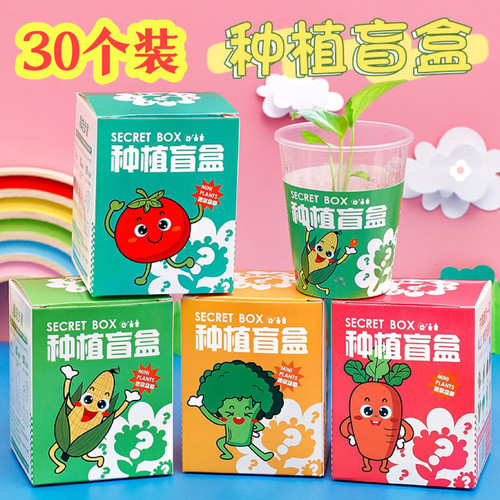 实用儿童DIY种植盲盒礼物