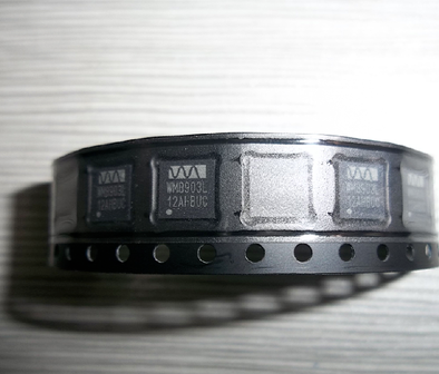 WM8903L WM8974G WM8960G WM8973G WM8955B WM8950G