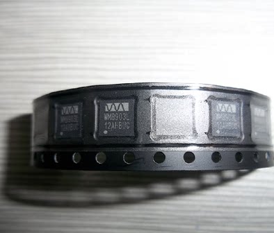 WM8903L WM8974G WM8960G WM8973G WM8955B WM8950G