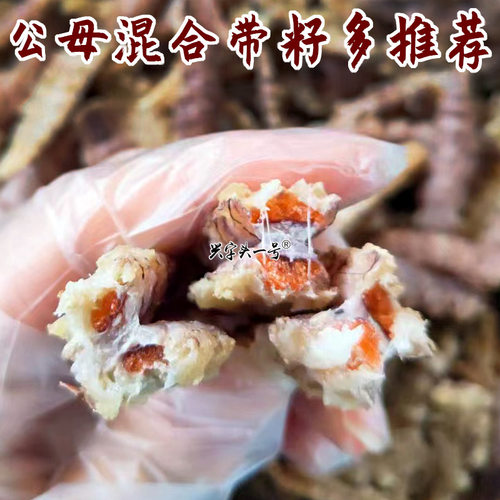 带籽皮皮虾干红膏黄琵琶虾姑虾爬子濑尿虾虎肉富贵虾即食水产干货 - 封面