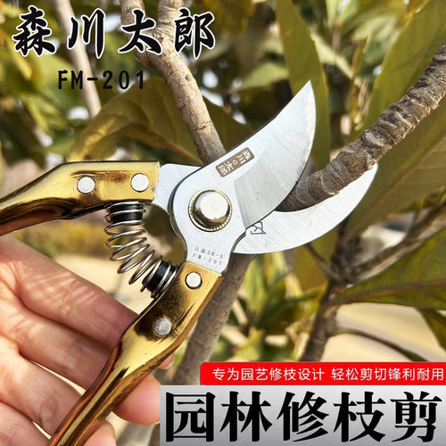 钢森川太郎日本进口SK5修枝剪刀园林家用果树园艺粗枝剪省力剪子