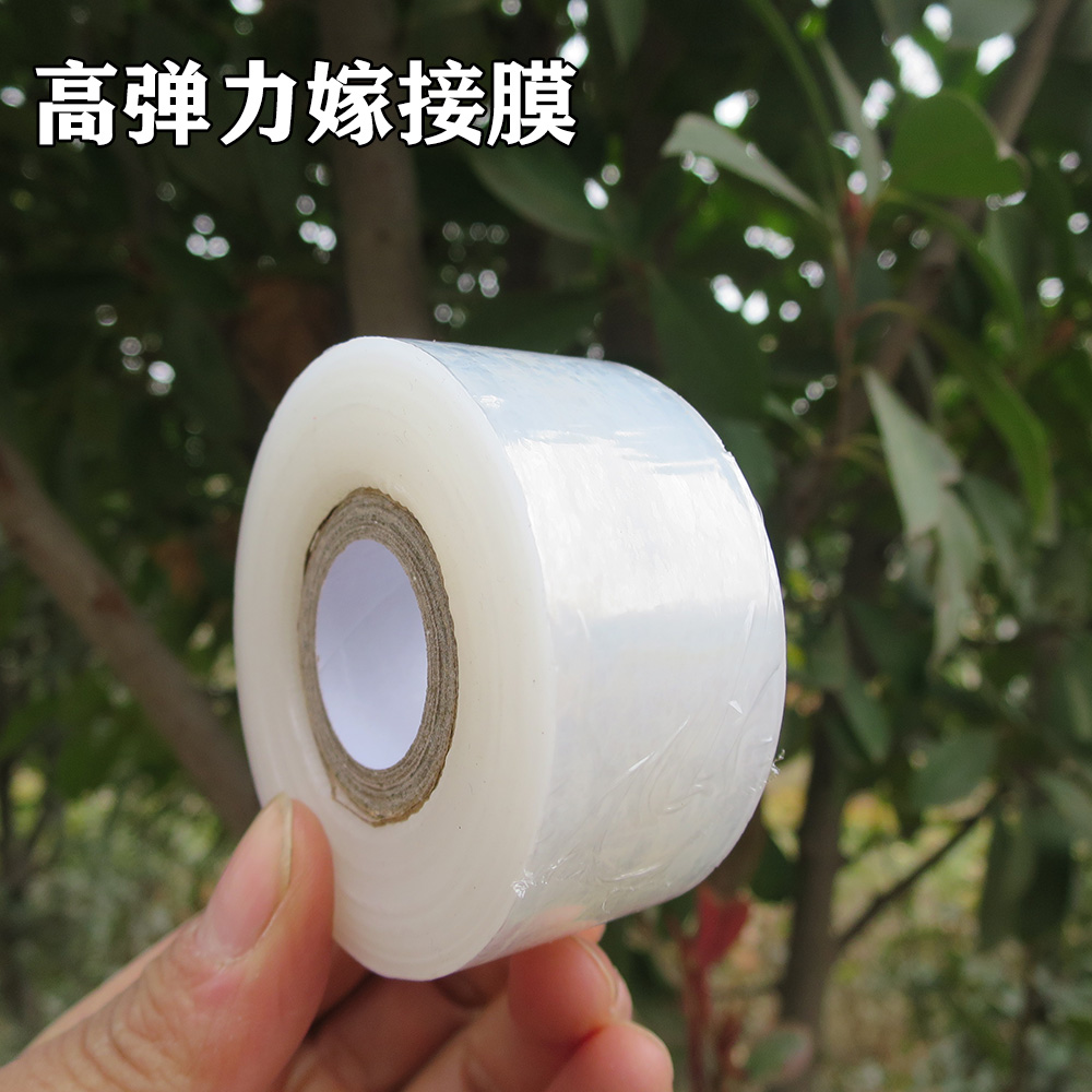 缠绕膜果树嫁接嫁接膜