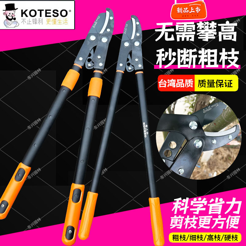 开拓者老人头小力士000