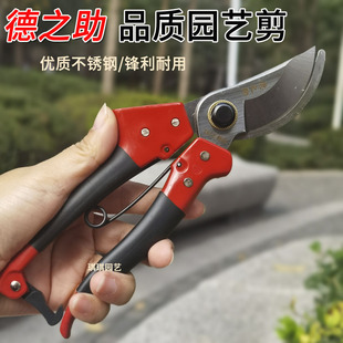 葡萄冬枝修理剪刀采摘剪苗圃剪定铗 台湾德之助修枝剪果树修枝剪