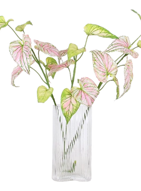 绿植海芋叶仿真手感仿真花