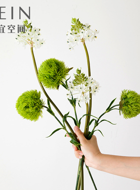 森系植物雀梅绿石竹仿真花卉绿色假花摆设摆件装饰插花摄影道具