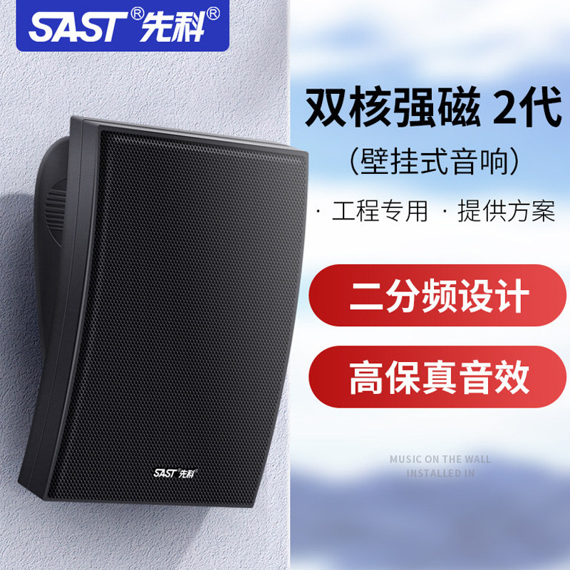 先科A6壁挂音响音箱店铺用餐厅挂墙挂壁式蓝牙功放套装门店面商用
