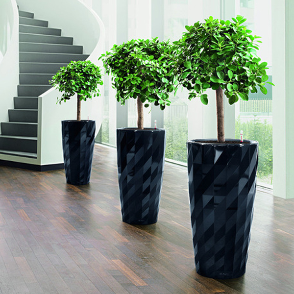 特大塑料盆栽高筒大客厅绿植盆栽