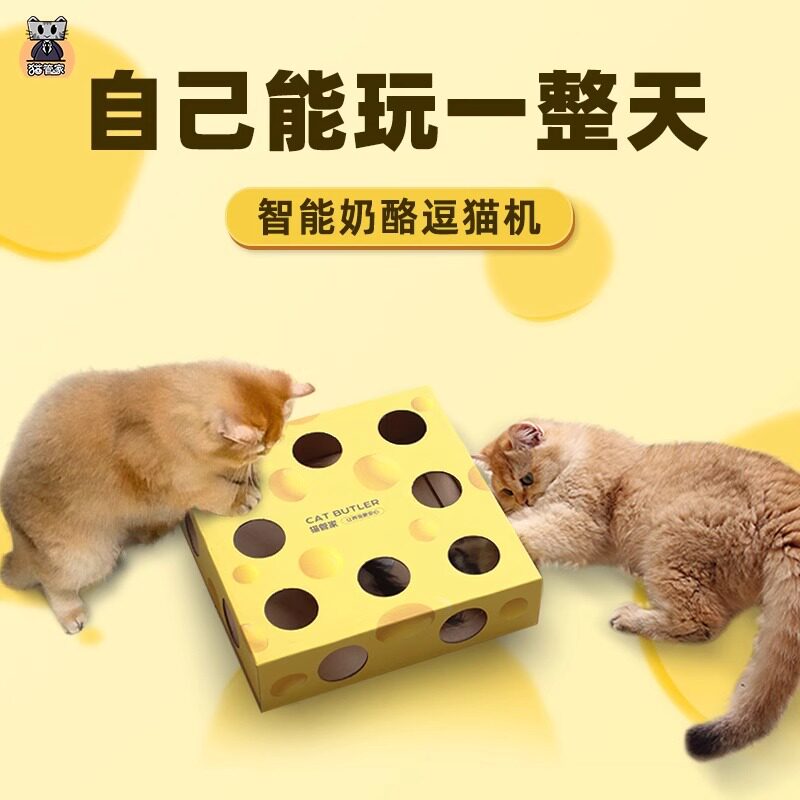 猫管家宠物奶酪盒玩具猫咪玩具自逗猫棒