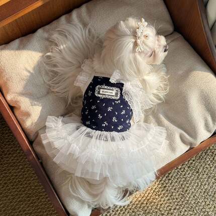 狗狗猫咪衣服春夏薄款猫咪碎花蕾丝连衣裙金渐层布偶猫幼猫家居服