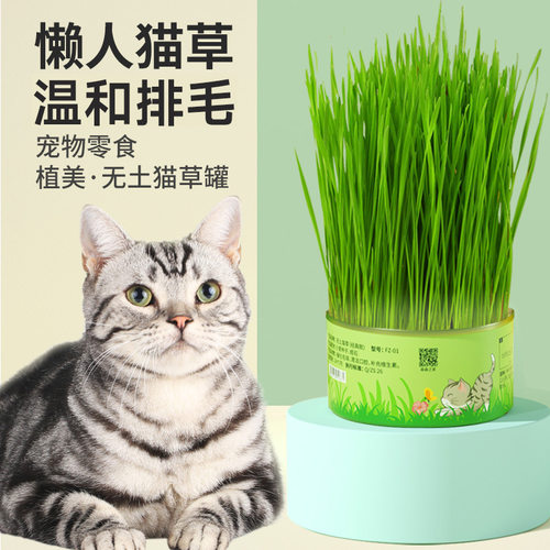 森森植美懒人猫草罐头吐毛球化毛栽培猫薄荷宠物猫零食代发