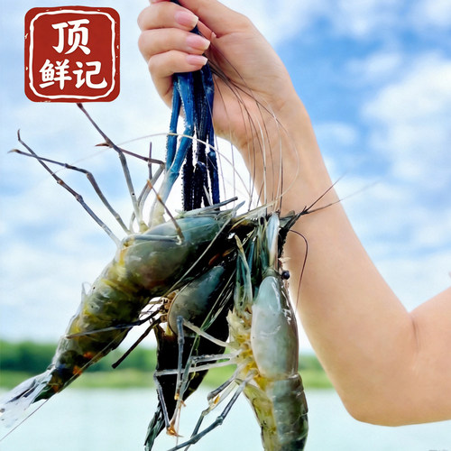 太湖一号冰鲜快递鲜活配送