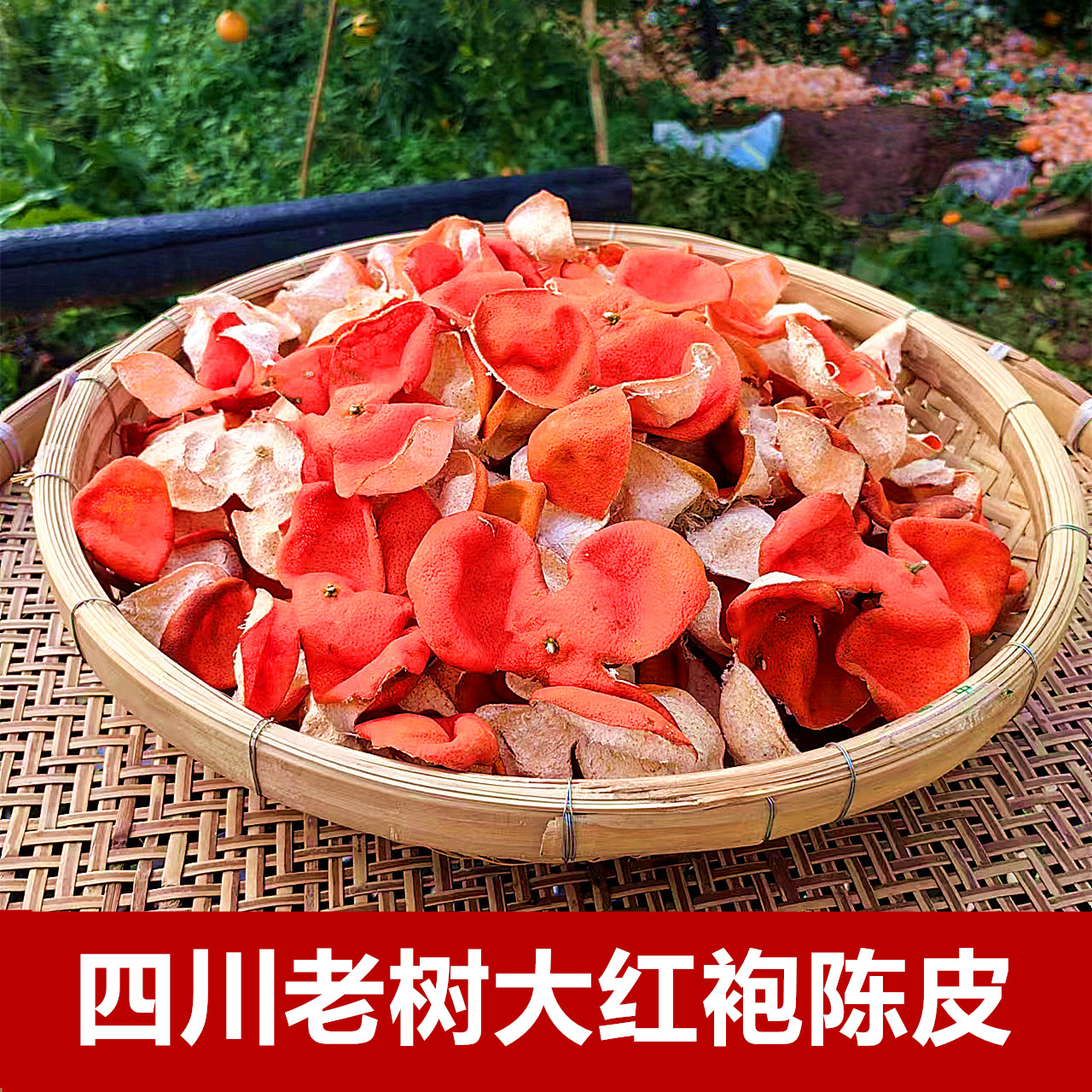 2025年新货正宗四川大红袍陈皮三花陈皮川陈皮老树红橘红桔皮500g