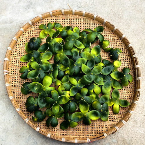 正宗四川四花青橘皮桔子皮中药材