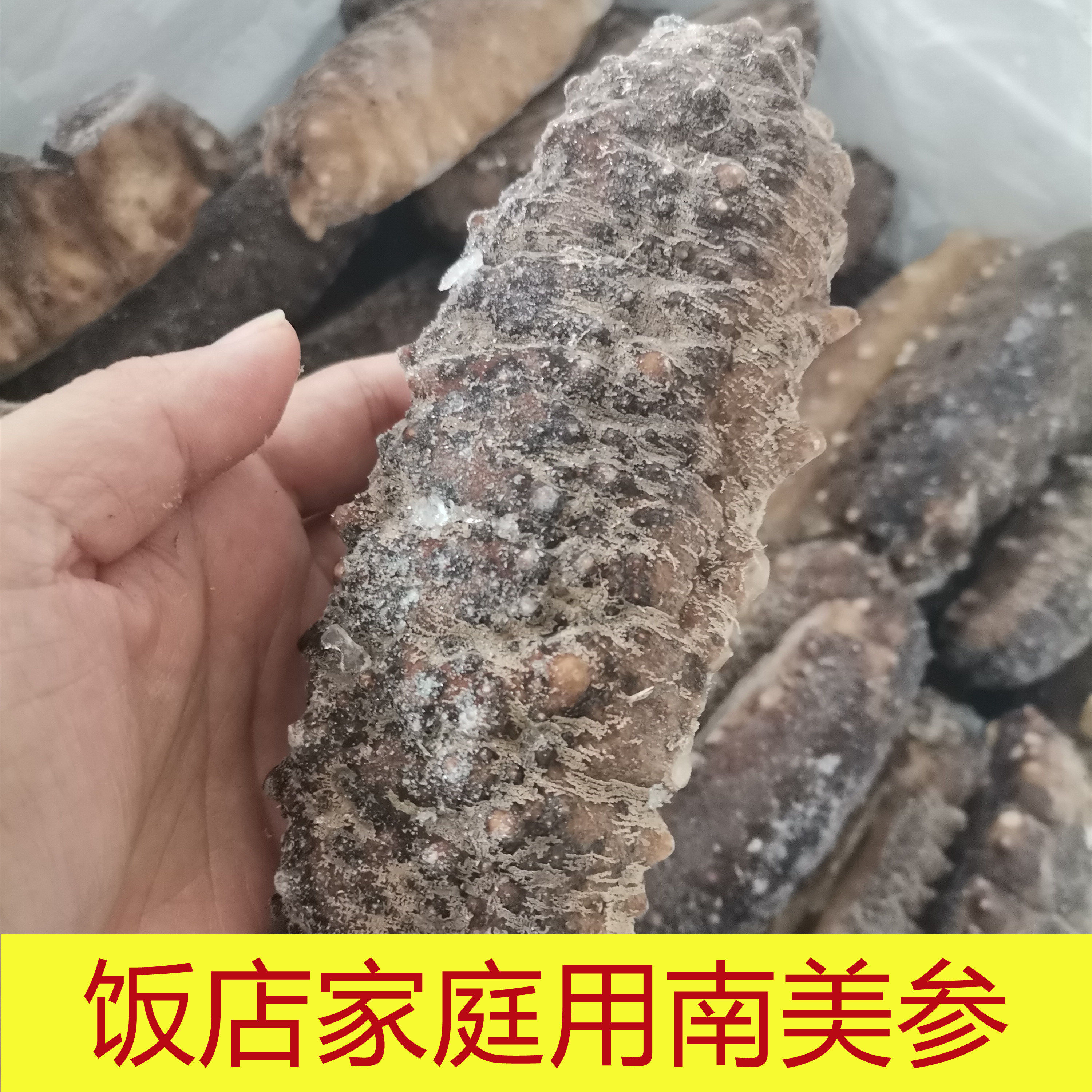 南美参餐饮饭店宴会酒楼酒店商用水发海参即食鲜食海参古巴参鲜货