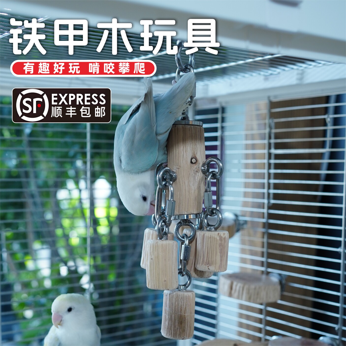 鹦鹉啃咬玩具铁梨木铁甲木不锈钢小中大型鸟用解闷自嗨磨牙吊坠,宠物/宠物食品及用品,鸟玩具,淘宝优惠券,粉丝福利购,淘宝优惠卷