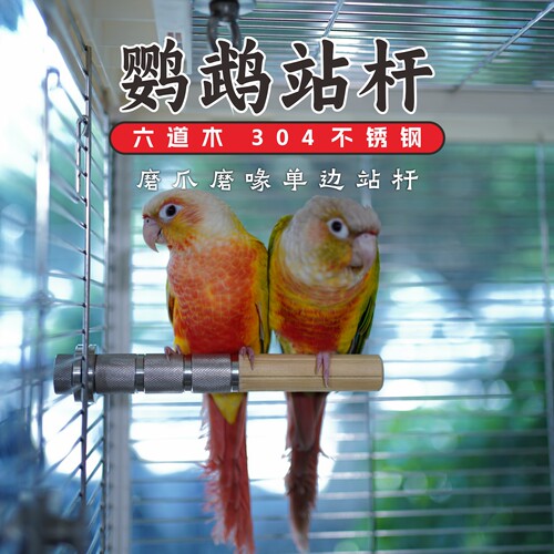 六道木304不锈钢鹦鹉站杆