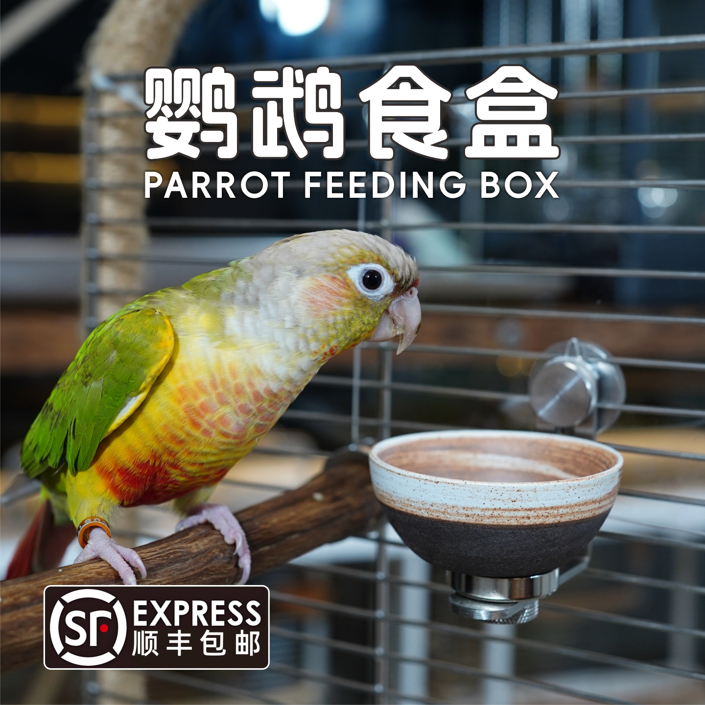 小型鹦鹉专用磁吸陶瓷食盒