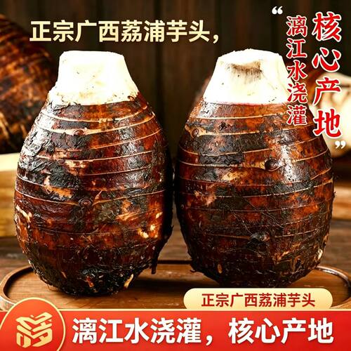 正宗广西荔浦芋头香芋粉糯精品大果核心产地富硒土地种植现挖发货