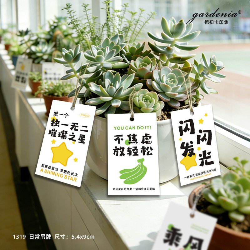 闪闪发亮吊牌培训班地推礼品小吊卡幼儿园小学绿植黑板装饰挂卡