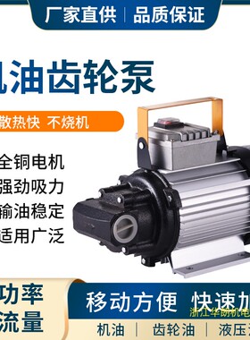家用新款韩朗自吸电动齿轮泵550和1100瓦电泵大流量液压机油泵铜