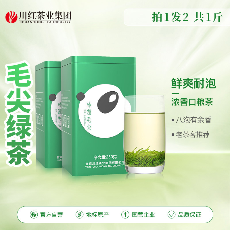 毛尖新茶绿茶明前毛峰茶叶自己喝官方旗舰店正品买1发2盒共500g