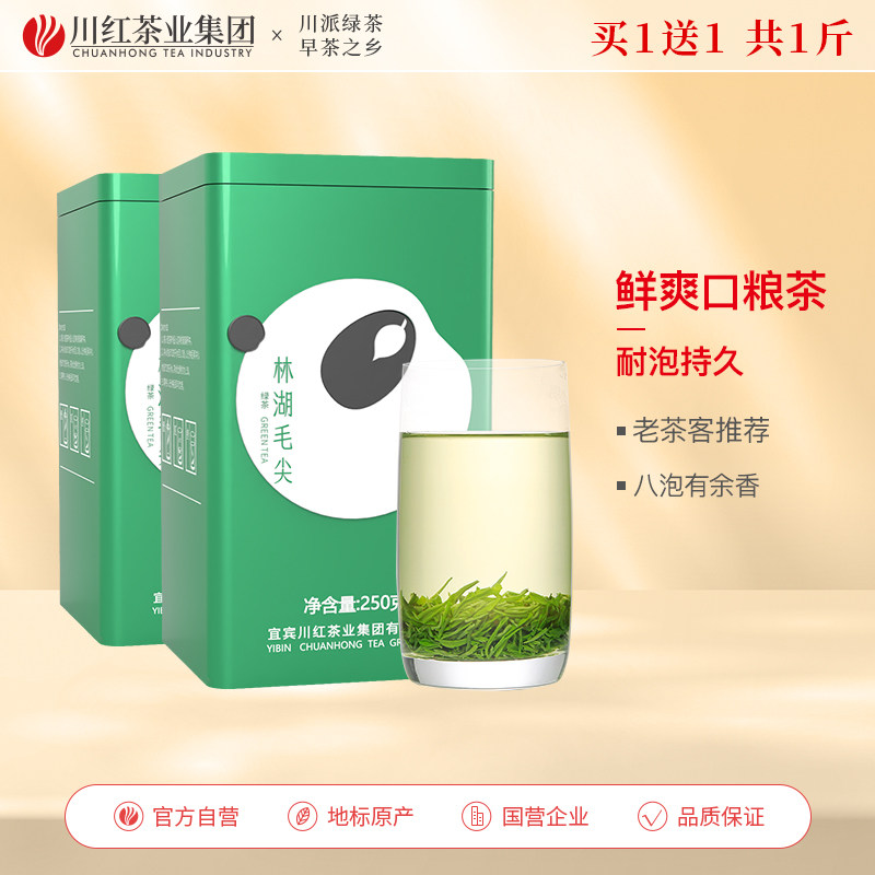 买1发2盒共500g毛尖新茶林湖2023绿茶明前浓香型川红散装毛峰茶叶
