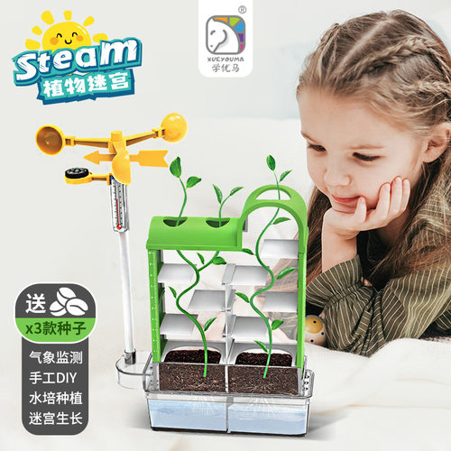 儿童植物迷宫种植实验生长学习大自然科学气象站学生玩具监测记录