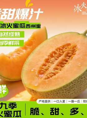 新疆吐鲁番冰火蜜瓜西周蜜25号