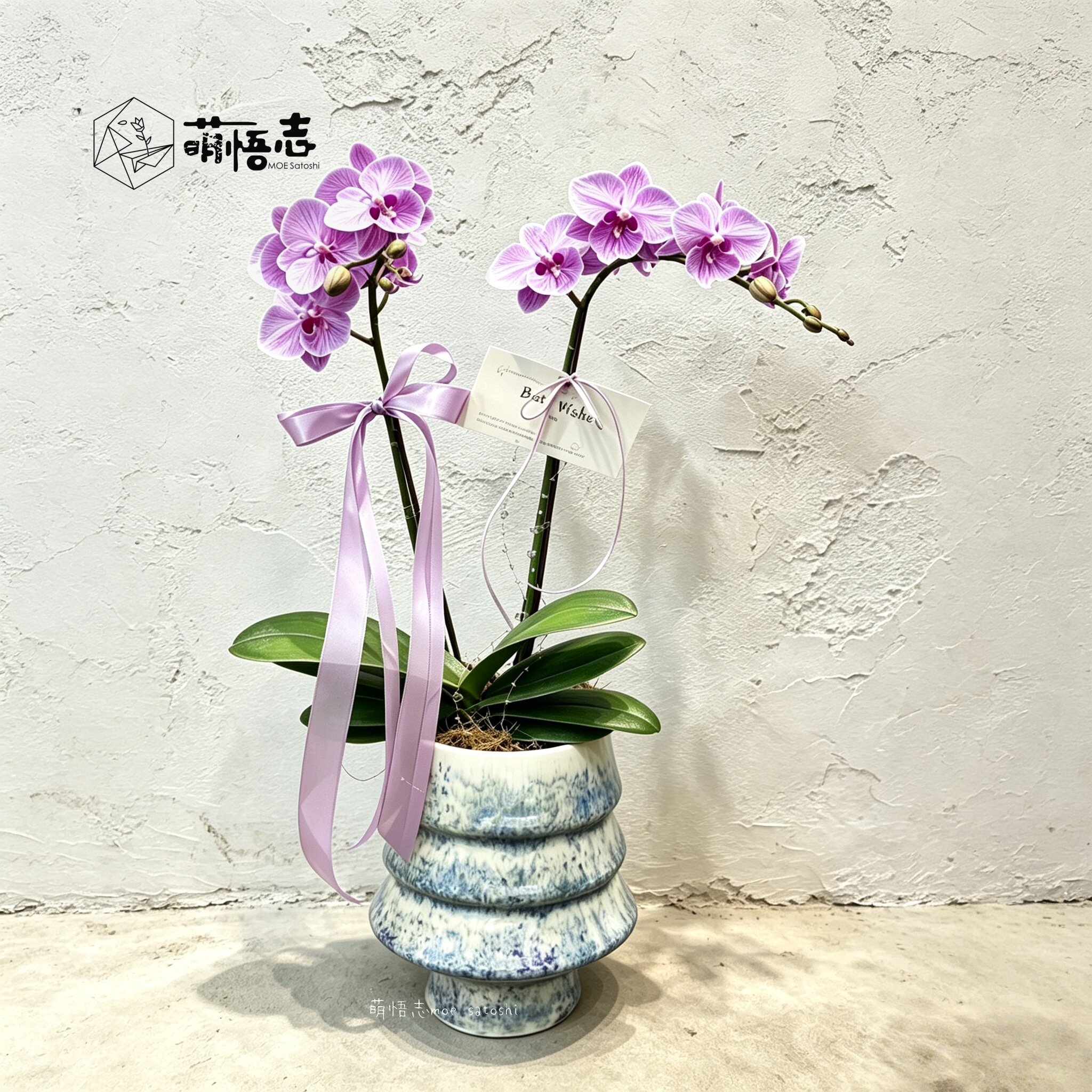 景德镇手工陶瓷花盆圣诞树造型蝴蝶兰专用透气家用桌面阳台绿植盆
