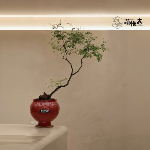 渐变禅意陶瓷大口径高脚花盆