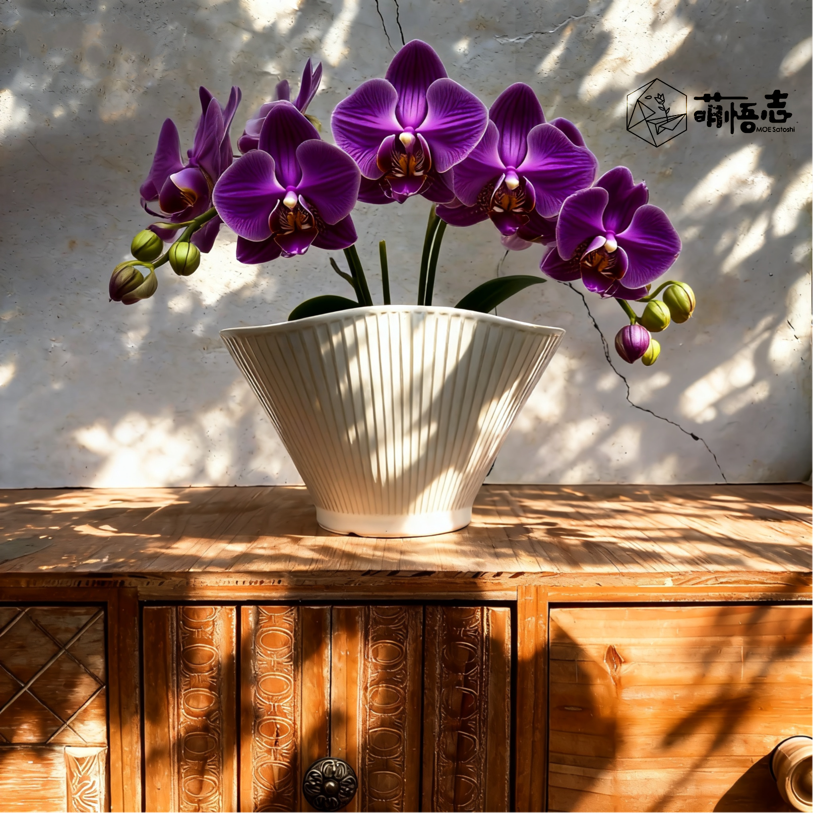 萌悟志景德镇手捏异形陶瓷花盆兰花盆透气轻奢高级客厅蝴蝶兰专用,鲜花速递/花卉仿真/绿植园艺,花盆,淘宝优惠券,粉丝福利购,淘宝优惠卷