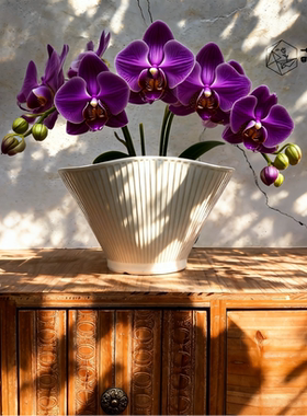 萌悟志景德镇手捏异形陶瓷花盆兰花盆透气轻奢高级客厅蝴蝶兰专用